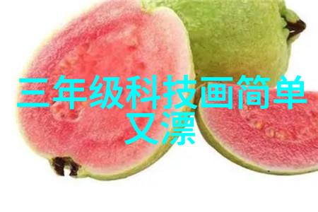 未来公共政策会如何支持和鼓励住小帮