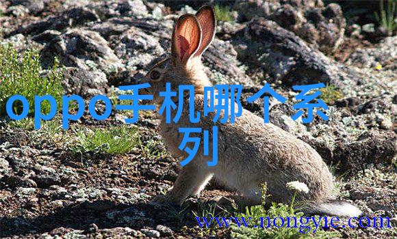 松香水中医药中的传统调理剂及其在现代健康管理中的应用研究