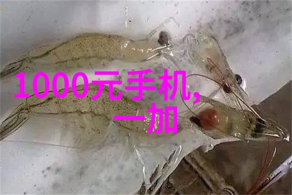 如何正确选择bx500的填料参数以优化性能