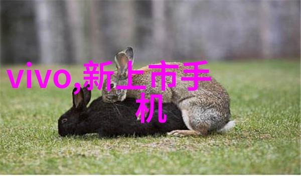 保护地球我们一起行动支持环保理念下的产品购买指南