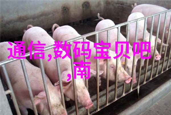 管材大市场 PVC 的幽默批发奇遇