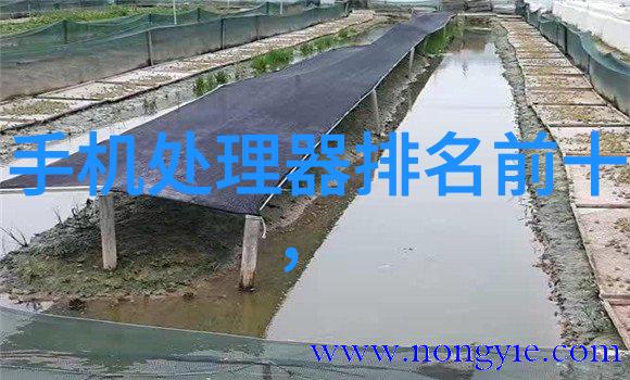 十大家用电器健康好物齐聚京东天猫抖音健康投资就这么简单