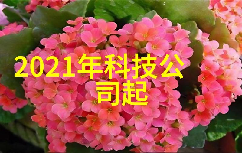 四川托普信息技术职业学院与其他高校或研究机构有何合作项目