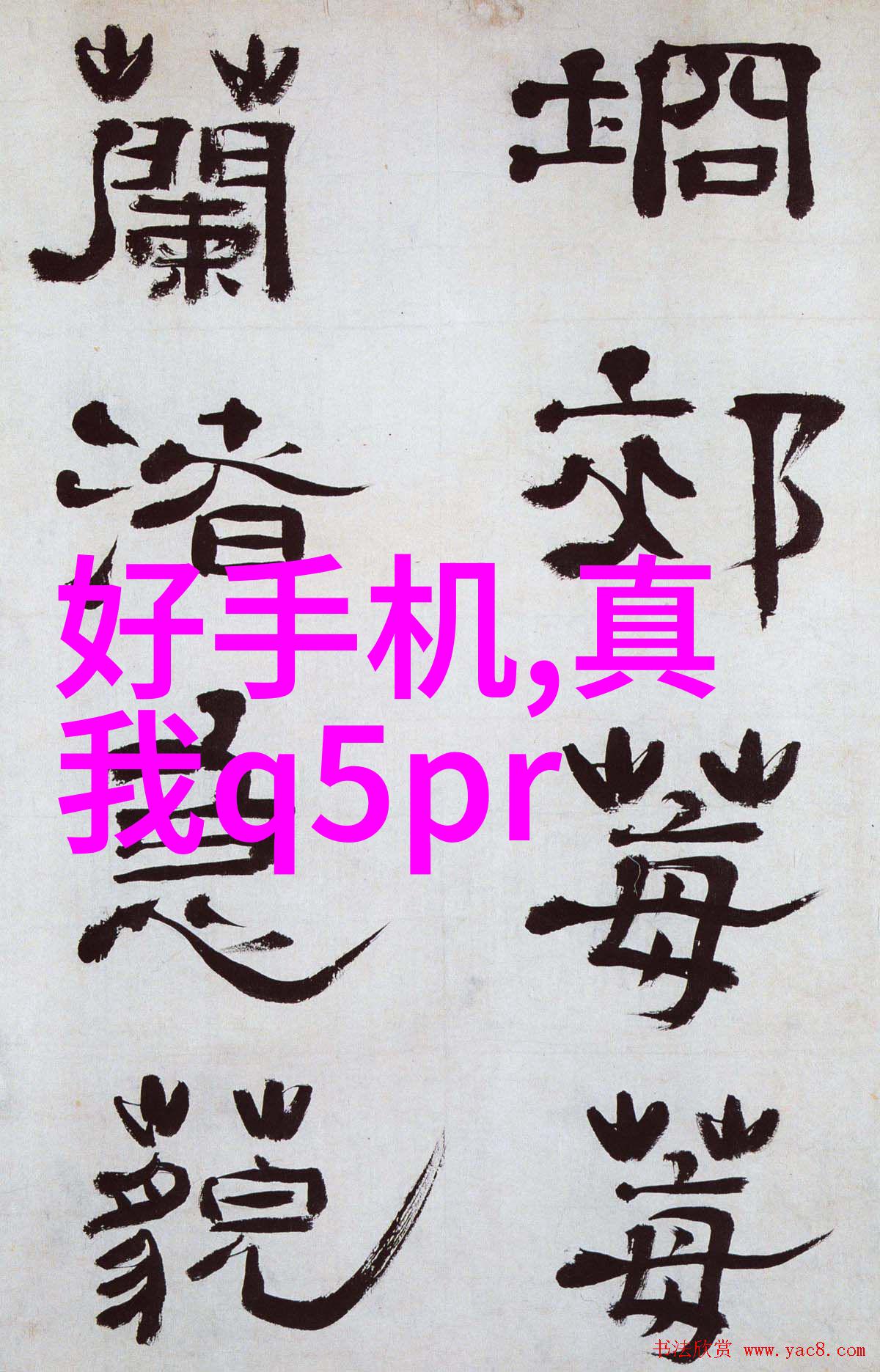 多功能流化床技术高效药物生产与干燥解决方案
