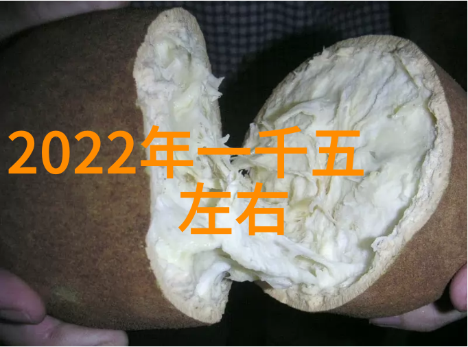 工业领域的忠实伙伴泵的故事与往复泵的重要性