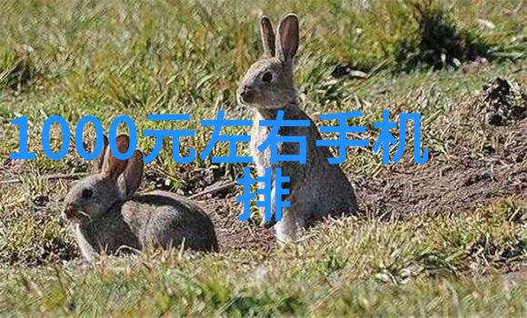 常州干燥设备技术高效干燥解决方案提供商