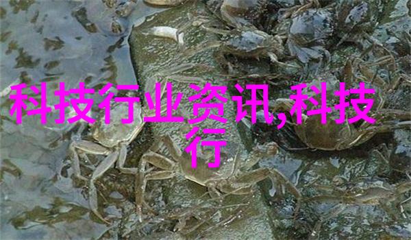 多元智能测评系统免费我来帮你测一测你的智商
