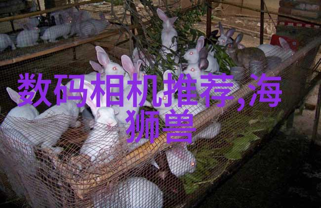 制冷设备维修市场分析竞争与机遇并存