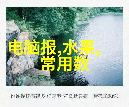 水位显示仪水库管理的重要辅助工具