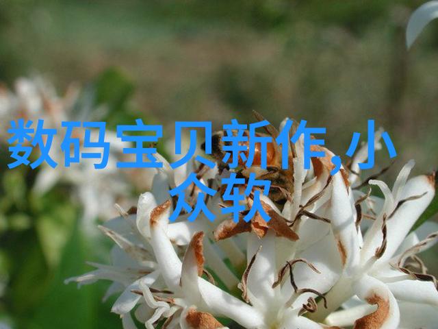 1518兆欧超纯水设备净水设备多少钱一台