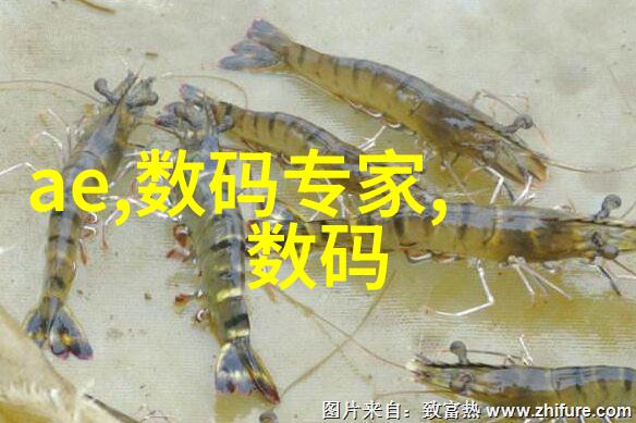 在有限空间中怎么办创意点子让你的小厨房大起来