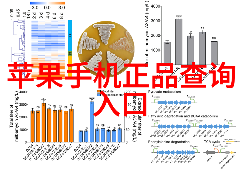 想开一家不锈钢加工厂我的铸造梦想