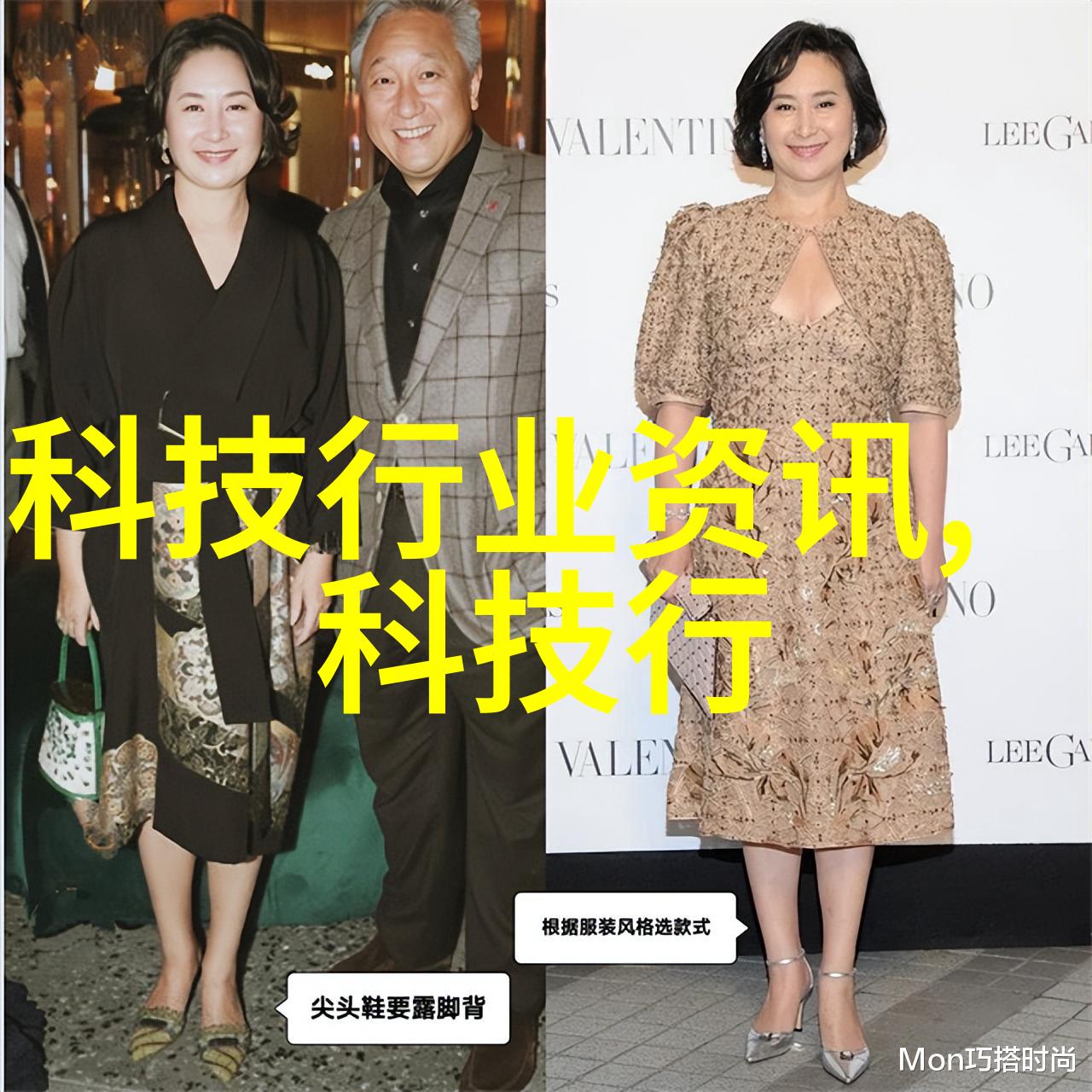 隐秘的商标之谜揭开中国知识产权查询网站背后的秘密