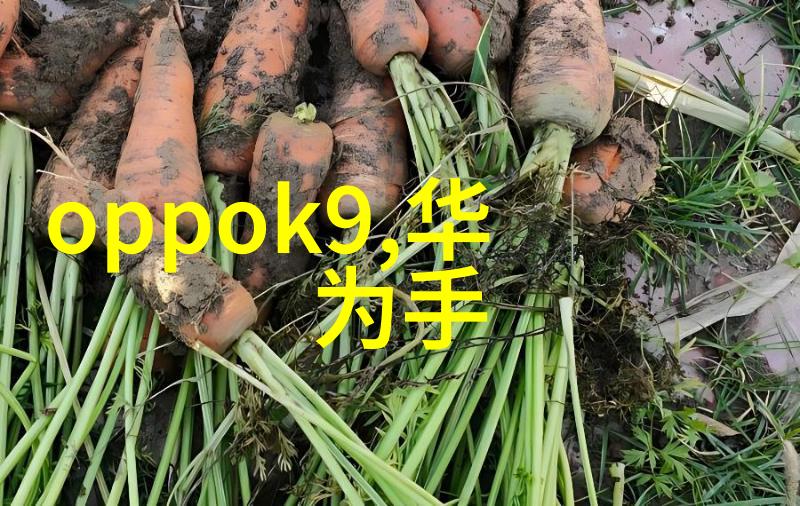 铜铝破碎分离设备共享路途共创绿色未来