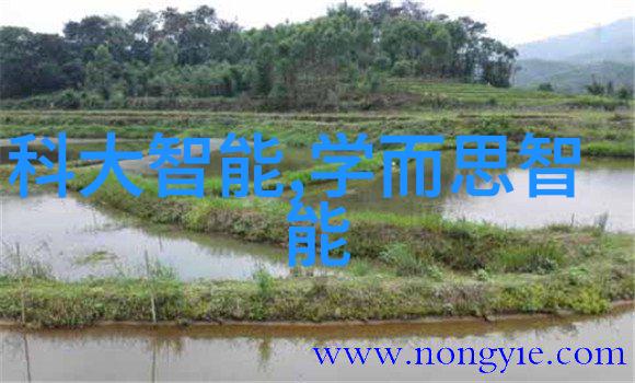 汽车零部件分类全解了解四大类的关键作用与应用