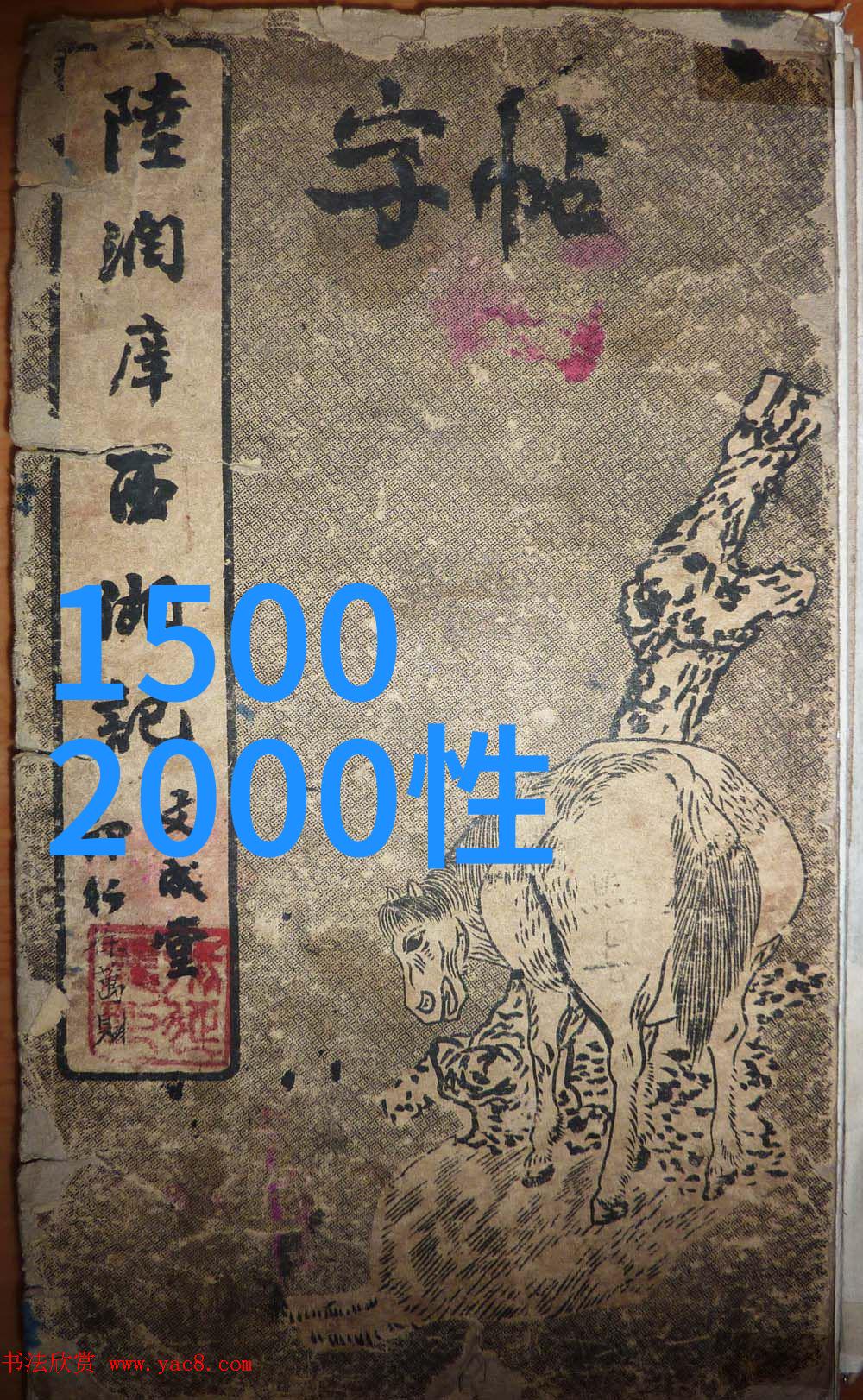 粉体设备的应用与发展趋势