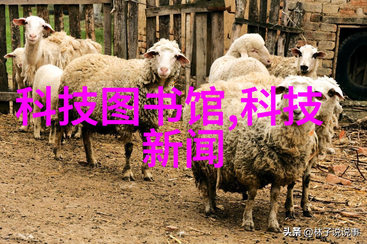 历史回顾从石材到现代金属镀锿通风系统演变简述