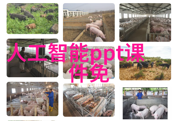园艺艺术的绽放创意庭院装修设计灵感