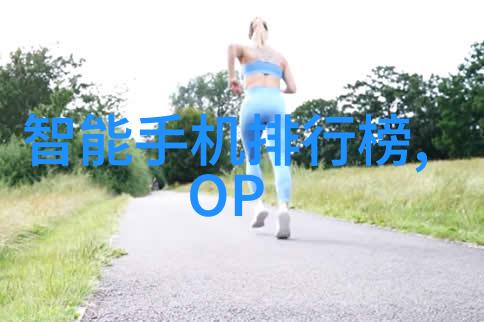 装修梦工厂从寒酸到奢华邻里间的反差奇观