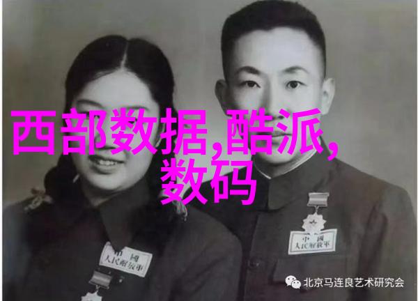 室内装修大作战从乱七八糟到小帮神话的奇幻旅程