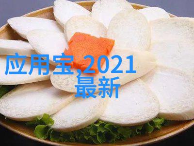 活力源泉制氧机与家庭健康的不二选择