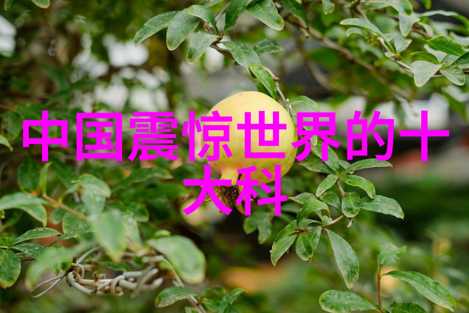 水利水电工程人才的未来探索行业发展与就业前景