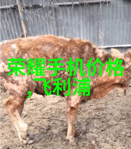 水洗机设备我是如何用一台小型水洗机让生活更有趣的