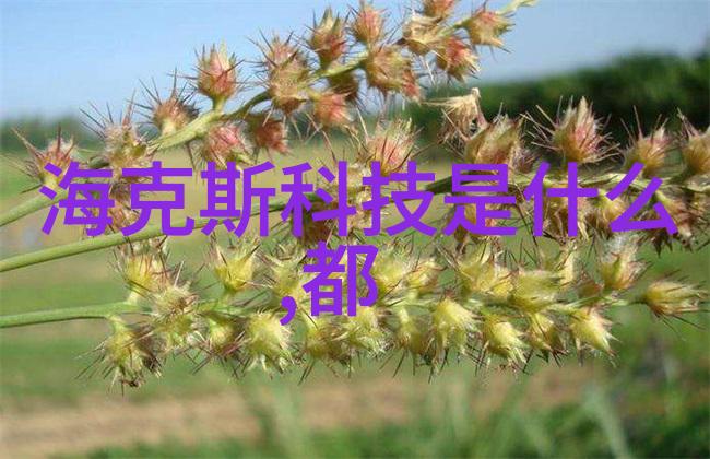 在使用扣件式脚手架时应注意哪些维护和检查事项