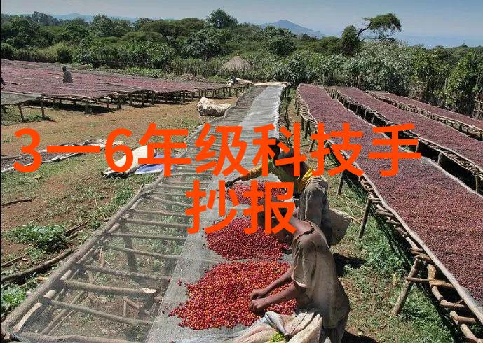 分析环境质量的重要工具总氮测定仪及其应用