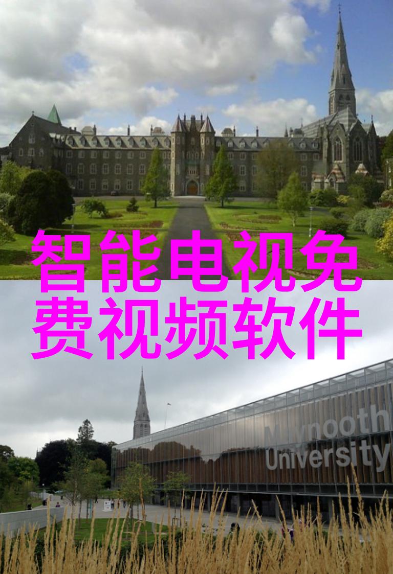 测定高粘稠物质的挑战特殊设计粘度计解析
