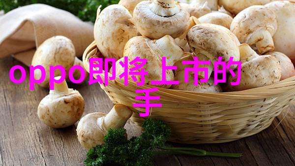 压力测试揭秘压力仪器的工作原理与应用