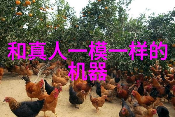 农村家用厕所设计与施工环保便民的智慧建造