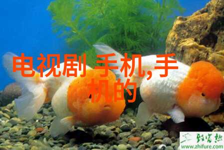陶瓷填料在高温固化过程中的微观结构演变及其对物性性能的影响研究
