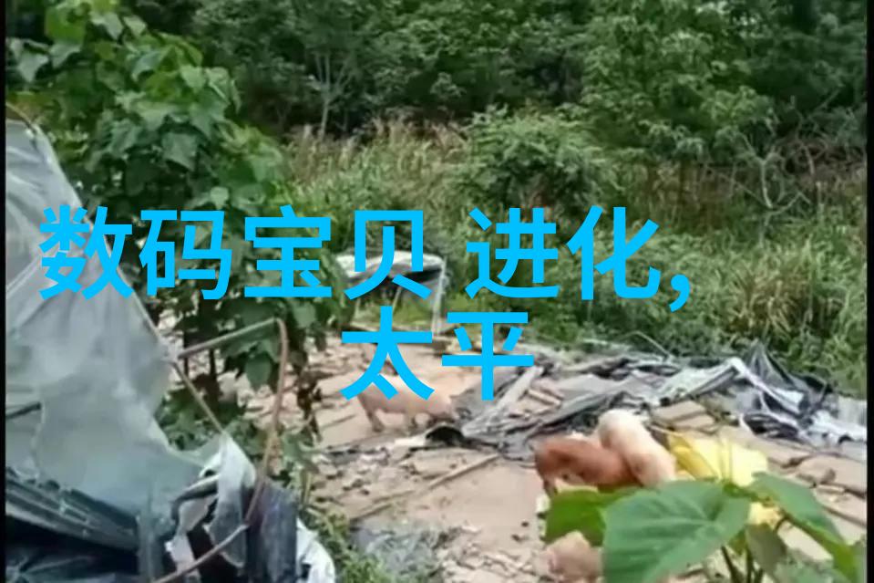 篮球梦幕虎扑奏响NBA赞歌