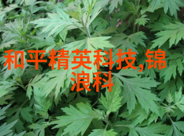 追逐梦想的旅程从不懈努力到成功的道路