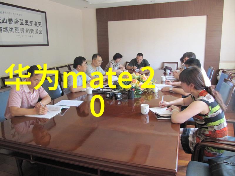 振动电机我是怎么学会爱上这台小巧振动电机的