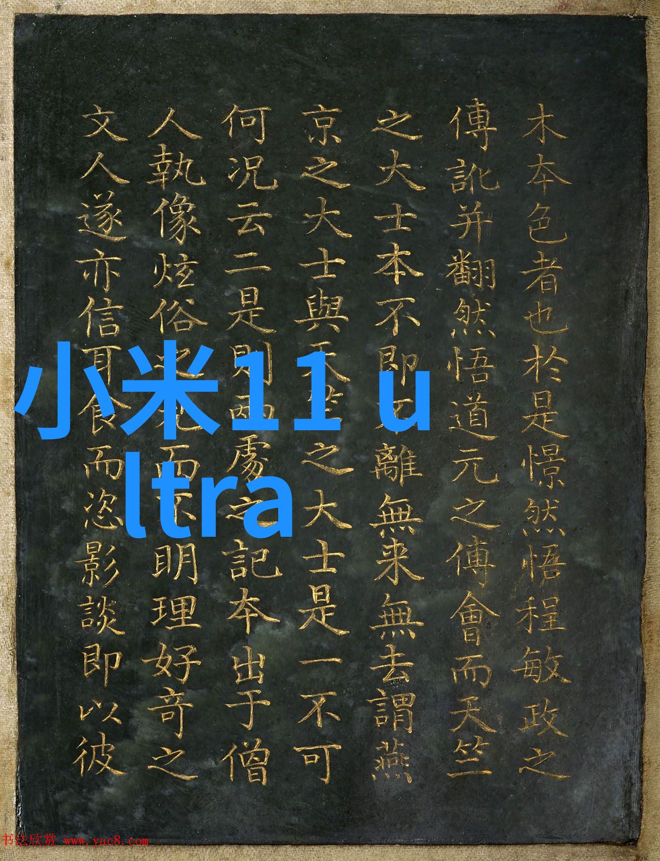 物流之翼飞速输送机的未来革命