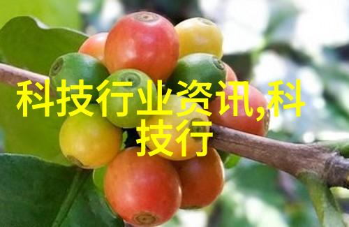 儿童多元智能测评系统小朋友的智慧大探险揭秘你的孩子到底有哪些才华