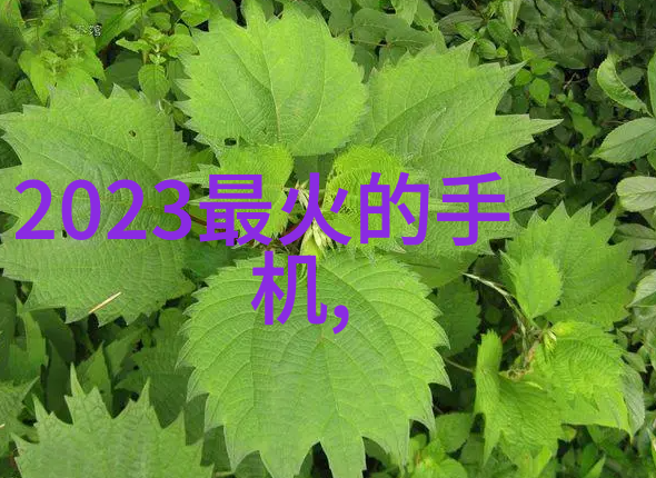 不锈钢填料是干什么用咱们来看看吧