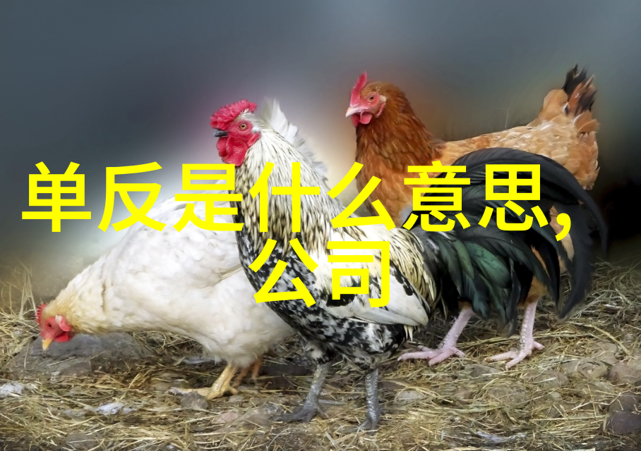 陈译辉财经-解读陈译辉财经智慧从金融理论到实践策略