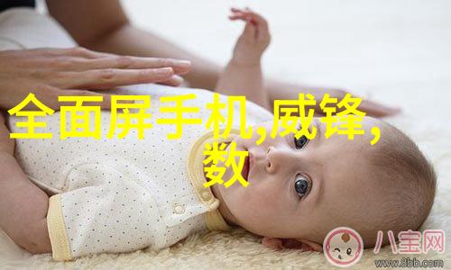 用兵天下征服与智慧的艺术探究
