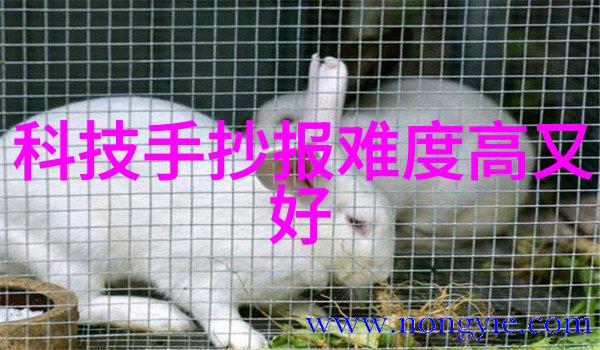 主题我是怎么找到完美汽车配件的全套指南