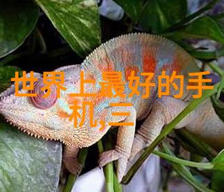 齐家网装修公司地址解析精选推荐与服务指南