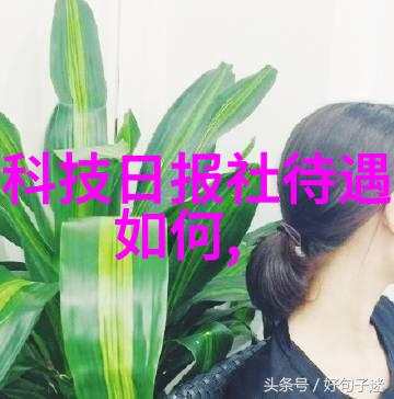 豪华居所的完美归宿探索大宅别墅设计装修公司的艺术与智慧