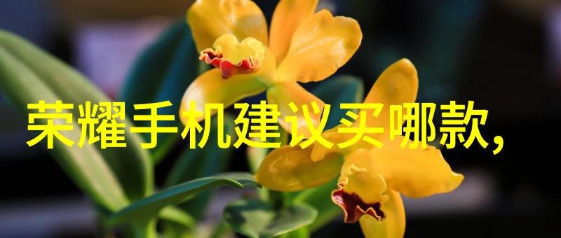 家庭小工坊里的魔法机器人DIY感应炉教程