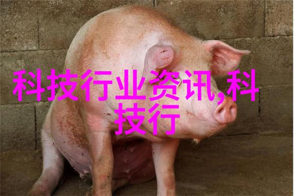 阀门水之灵魂机器的心脏