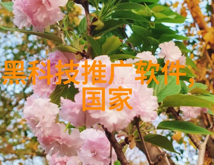 伦理讨论赋予人形机器人类特质的道德边界