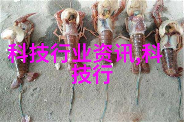 皮带输送机我是如何用皮带输送机提高工作效率的