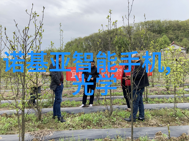蒸汽发生器维护与保养技巧总结
