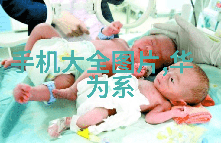 长生界全文阅读-穿越神话的永恒篇章长生界全文探秘